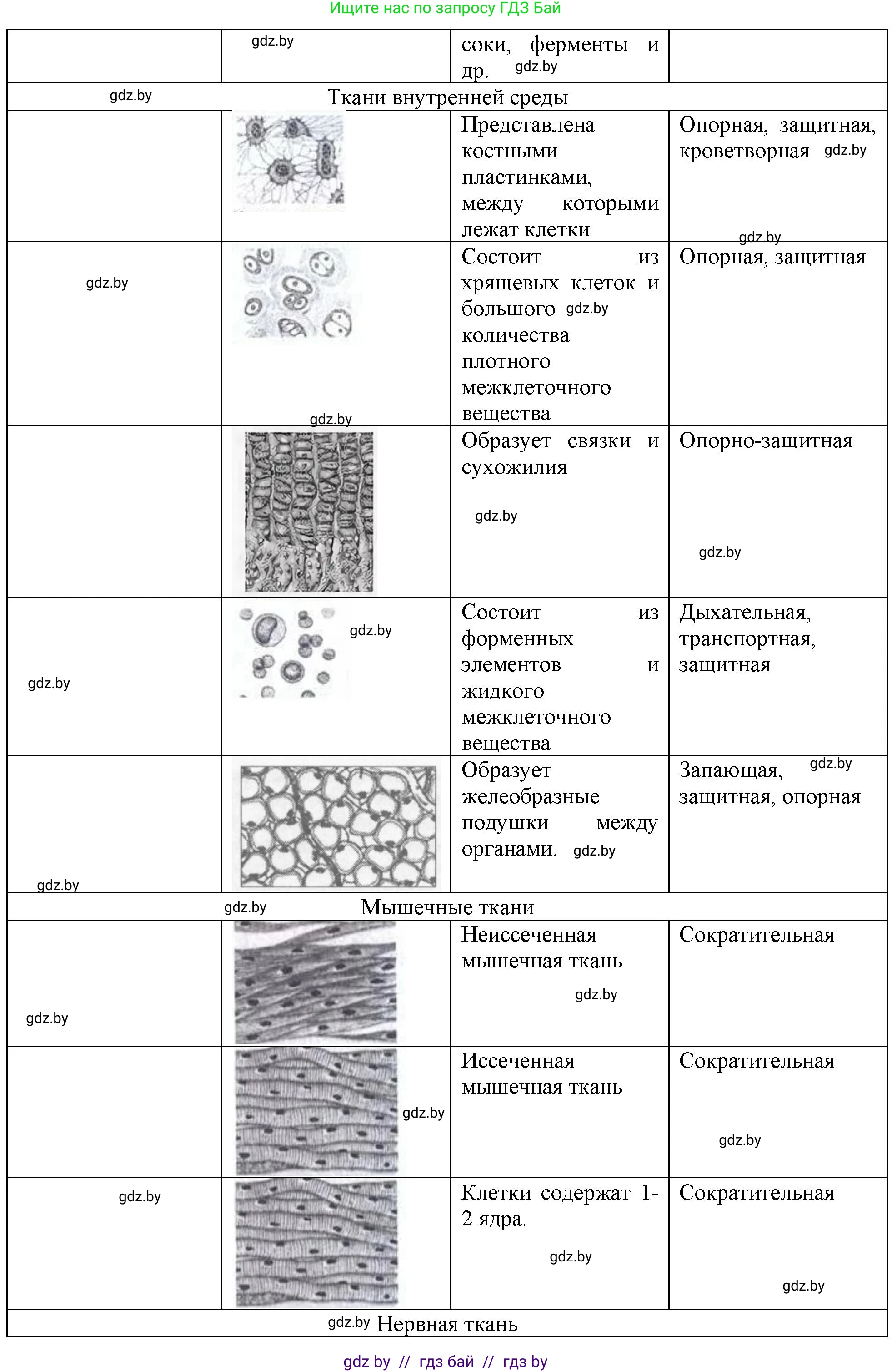 Биология, 10 класс Тетрадь для лабораторных и практических работ, автор: Хруцкая Тамара Викторовна, издательство Аверсэв, Минск, 2020, зелёного цвета, страница 18, номер 2, Решение (продолжение 2)