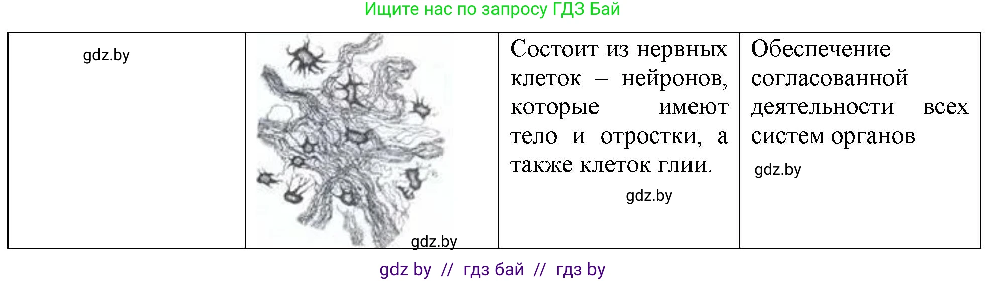 Биология, 10 класс Тетрадь для лабораторных и практических работ, автор: Хруцкая Тамара Викторовна, издательство Аверсэв, Минск, 2020, зелёного цвета, страница 18, номер 2, Решение (продолжение 3)