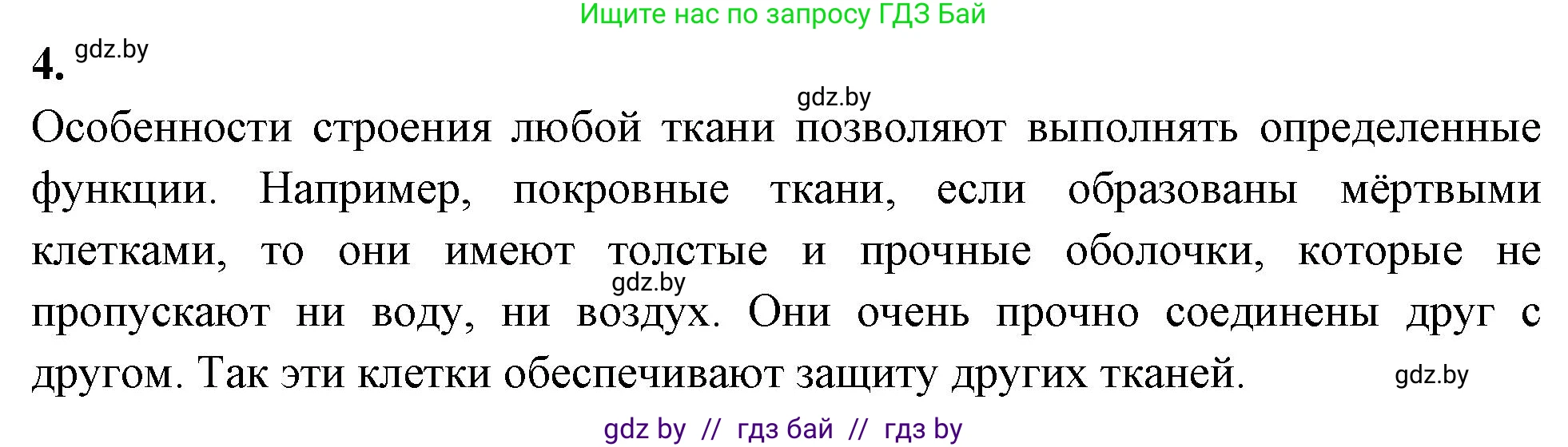 Биология, 10 класс Тетрадь для лабораторных и практических работ, автор: Хруцкая Тамара Викторовна, издательство Аверсэв, Минск, 2020, зелёного цвета, страница 20, номер 4, Решение