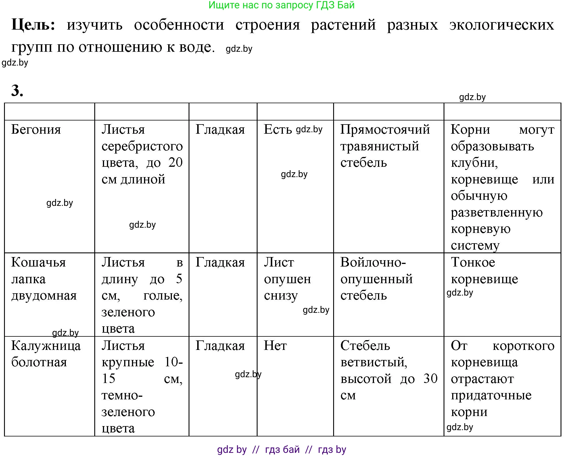 Биология, 10 класс Тетрадь для лабораторных и практических работ, автор: Хруцкая Тамара Викторовна, издательство Аверсэв, Минск, 2020, зелёного цвета, страница 21, номер 3, Решение