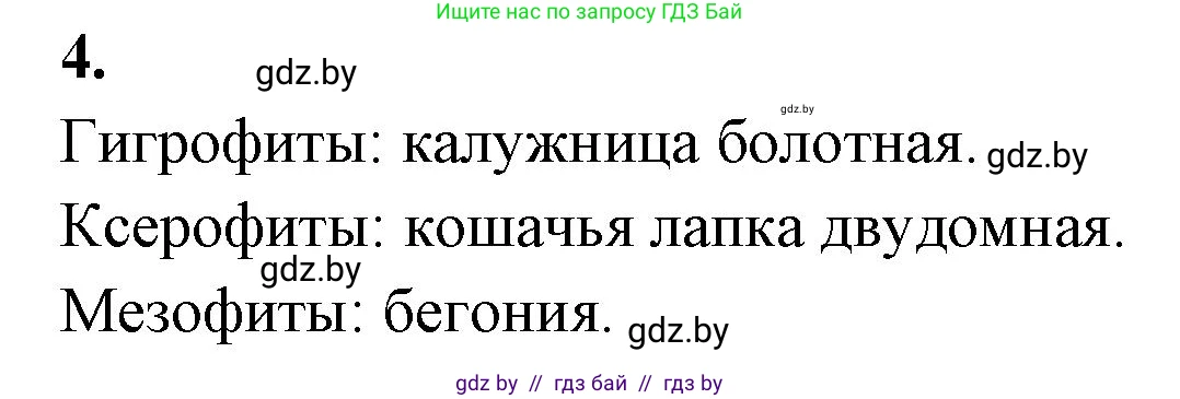 Биология, 10 класс Тетрадь для лабораторных и практических работ, автор: Хруцкая Тамара Викторовна, издательство Аверсэв, Минск, 2020, зелёного цвета, страница 23, номер 4, Решение