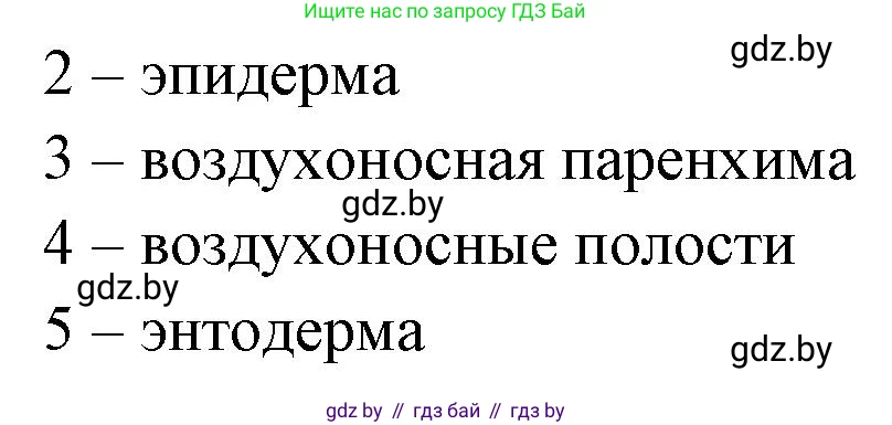 Биология, 10 класс Тетрадь для лабораторных и практических работ, автор: Хруцкая Тамара Викторовна, издательство Аверсэв, Минск, 2020, зелёного цвета, страница 23, номер 6, Решение (продолжение 2)