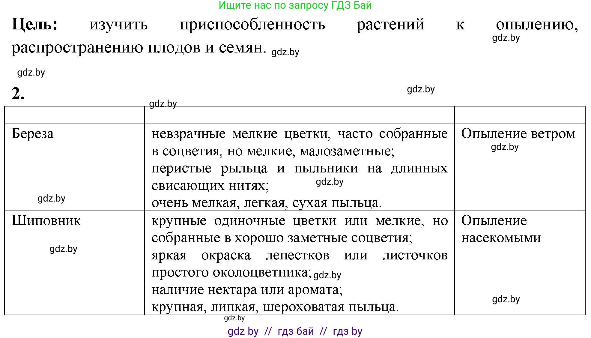Биология, 10 класс Тетрадь для лабораторных и практических работ, автор: Хруцкая Тамара Викторовна, издательство Аверсэв, Минск, 2020, зелёного цвета, страница 38, номер 2, Решение