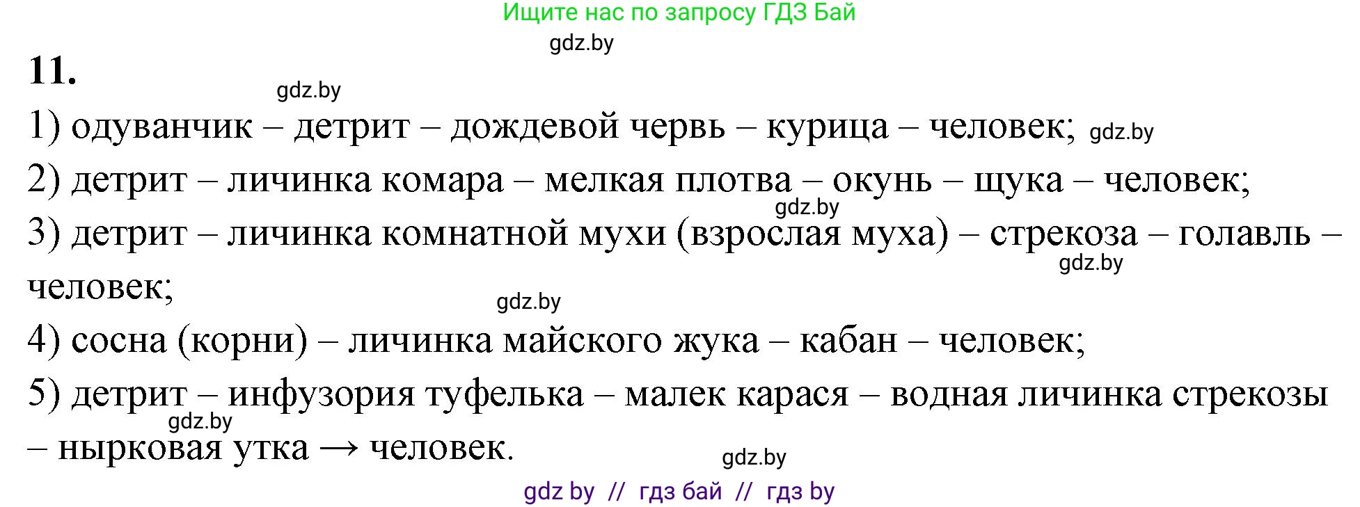 Биология, 10 класс Тетрадь для лабораторных и практических работ, автор: Хруцкая Тамара Викторовна, издательство Аверсэв, Минск, 2020, зелёного цвета, страница 87, номер 11, Решение