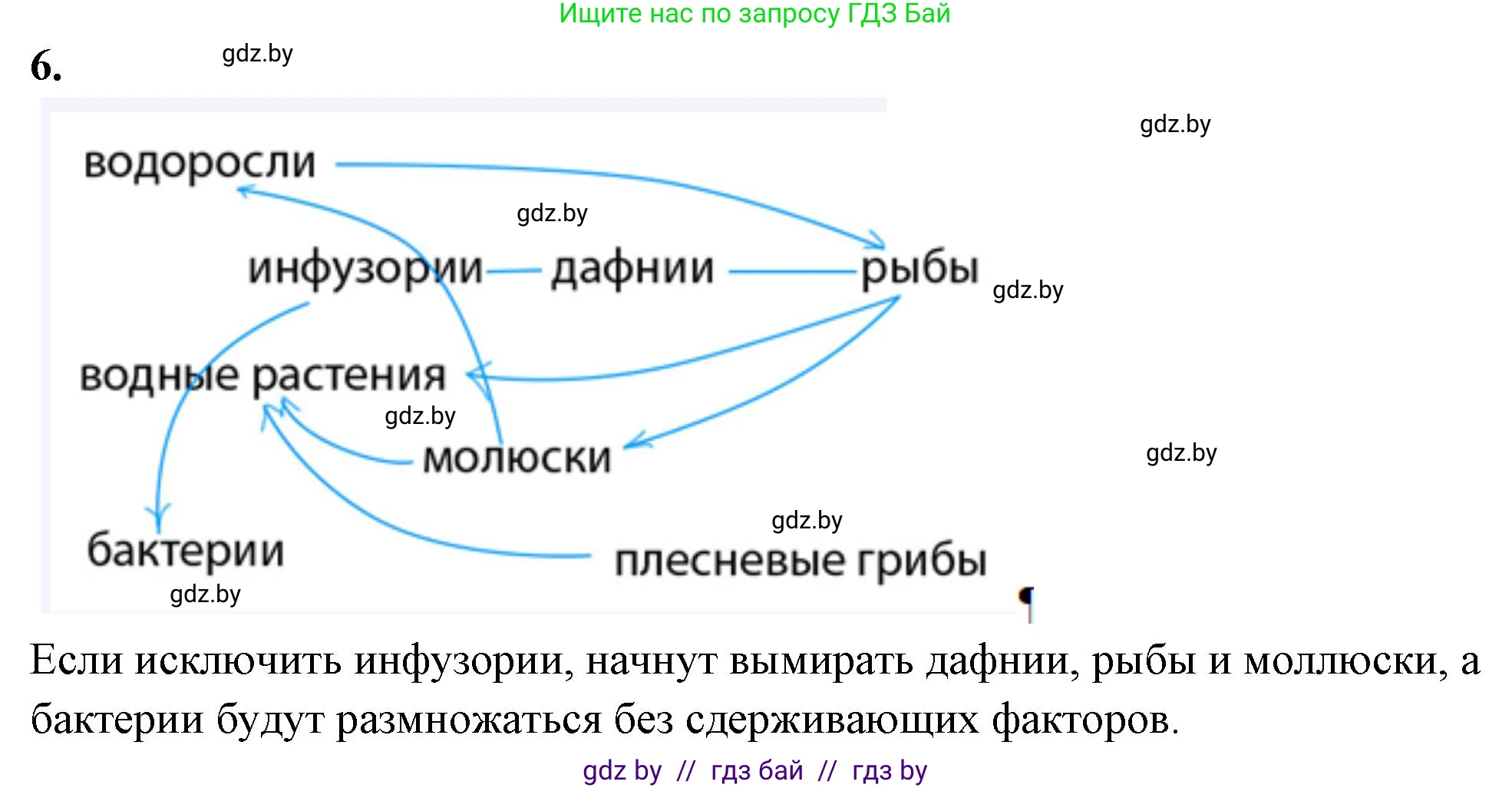 Биология, 10 класс Тетрадь для лабораторных и практических работ, автор: Хруцкая Тамара Викторовна, издательство Аверсэв, Минск, 2020, зелёного цвета, страница 84, номер 6, Решение
