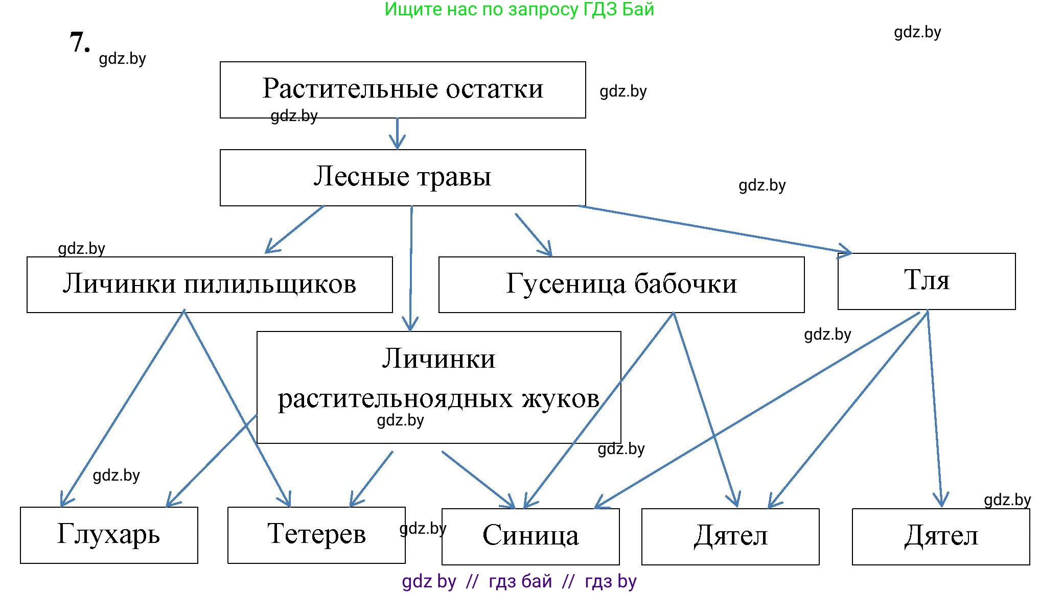 Биология, 10 класс Тетрадь для лабораторных и практических работ, автор: Хруцкая Тамара Викторовна, издательство Аверсэв, Минск, 2020, зелёного цвета, страница 85, номер 7, Решение