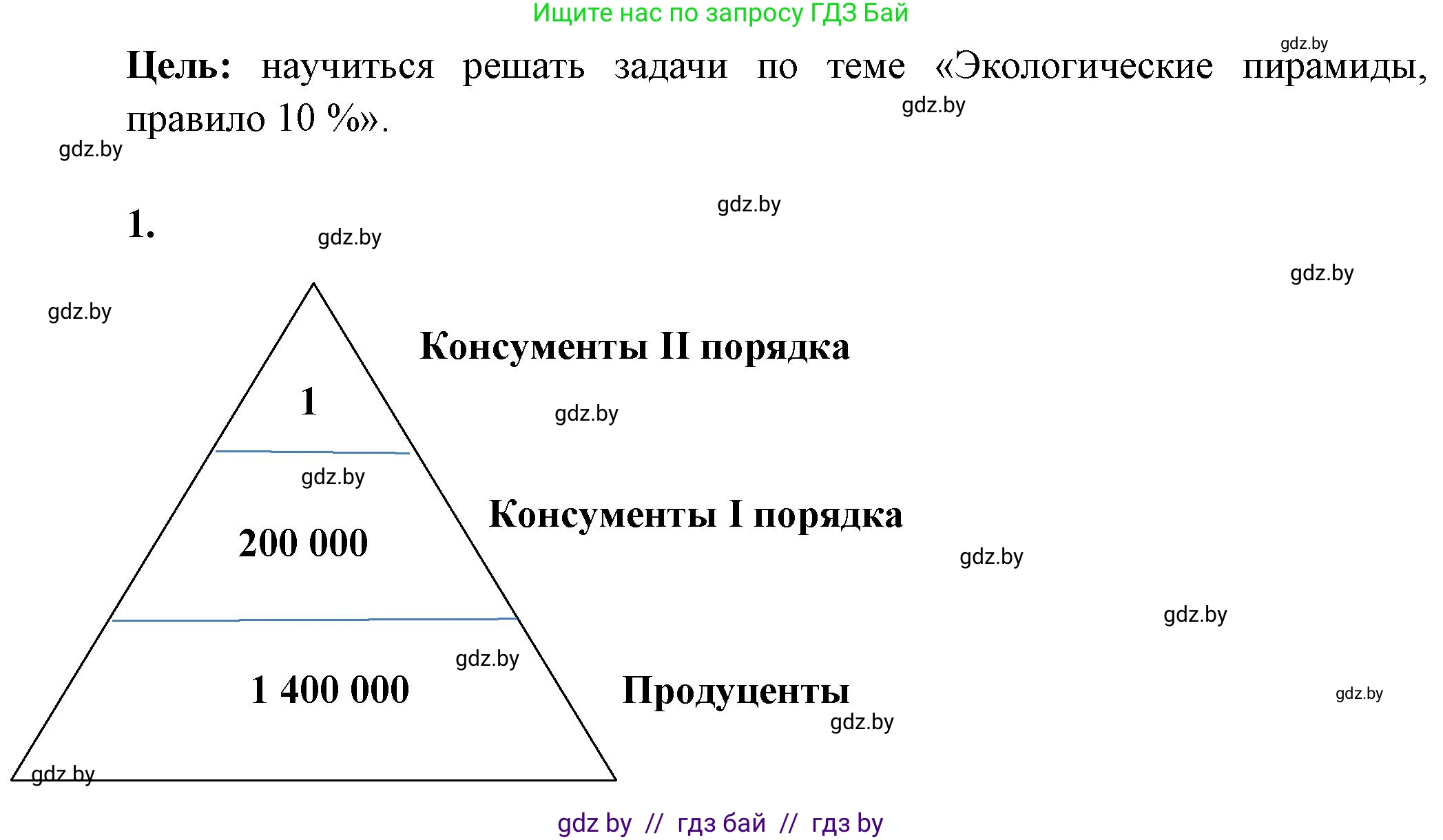 Биология, 10 класс Тетрадь для лабораторных и практических работ, автор: Хруцкая Тамара Викторовна, издательство Аверсэв, Минск, 2020, зелёного цвета, страница 95, номер 1, Решение