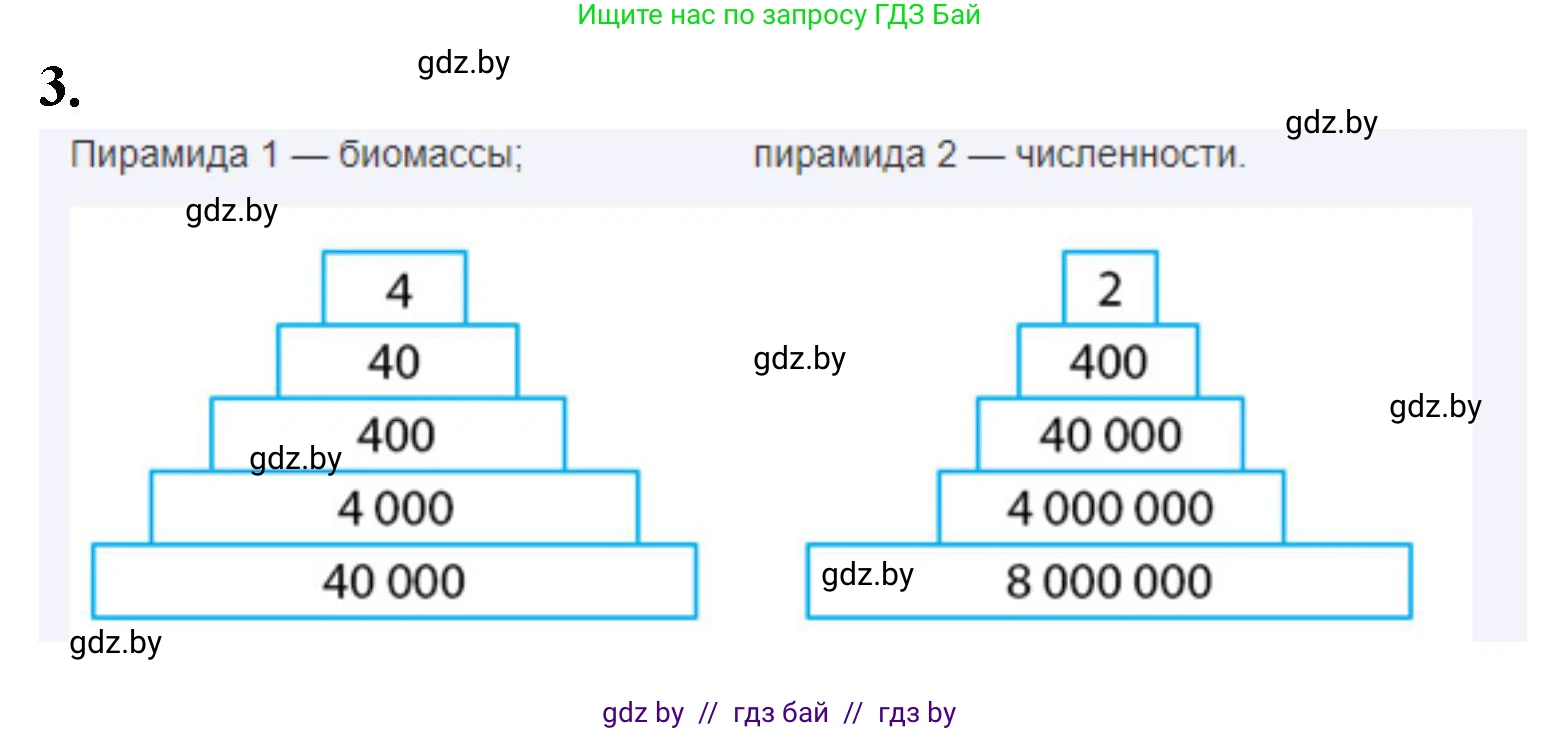 Биология, 10 класс Тетрадь для лабораторных и практических работ, автор: Хруцкая Тамара Викторовна, издательство Аверсэв, Минск, 2020, зелёного цвета, страница 96, номер 3, Решение