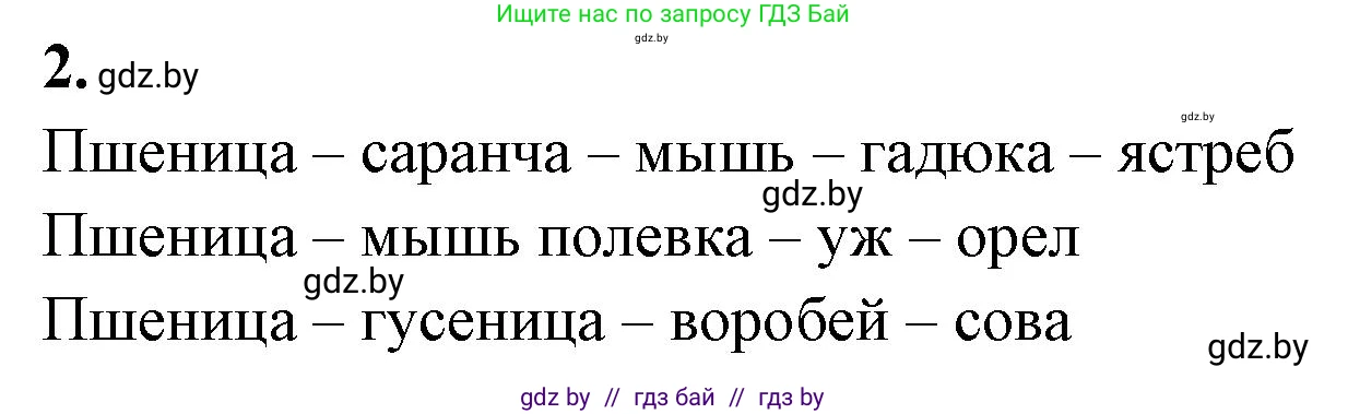Биология, 10 класс Тетрадь для лабораторных и практических работ, автор: Хруцкая Тамара Викторовна, издательство Аверсэв, Минск, 2020, зелёного цвета, страница 114, номер 2, Решение