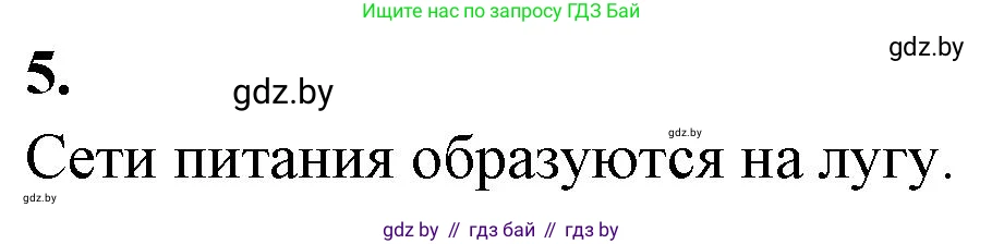 Биология, 10 класс Тетрадь для лабораторных и практических работ, автор: Хруцкая Тамара Викторовна, издательство Аверсэв, Минск, 2020, зелёного цвета, страница 115, номер 5, Решение