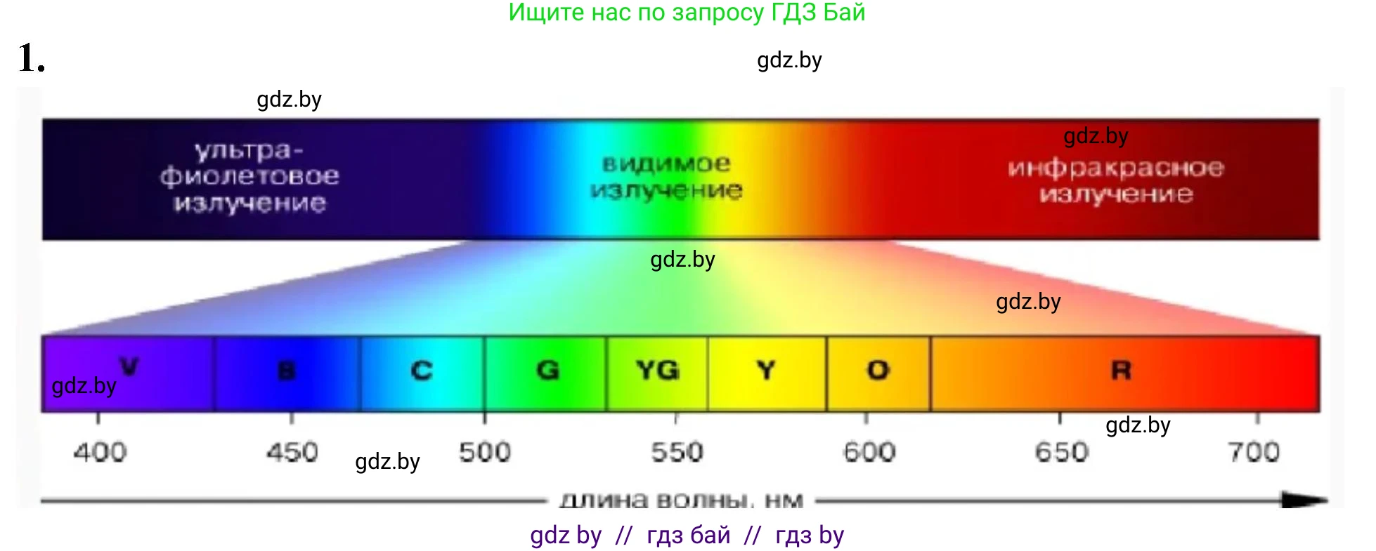 Биология, 10 класс рабочая тетрадь, автор: Хруцкая Тамара Викторовна, издательство Аверсэв, Минск, 2020, оранжевого цвета, страница 12, номер 1, Решение