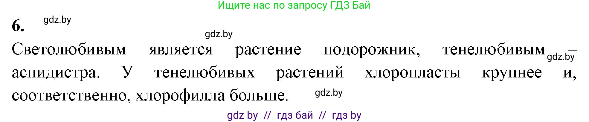 Биология, 10 класс рабочая тетрадь, автор: Хруцкая Тамара Викторовна, издательство Аверсэв, Минск, 2020, оранжевого цвета, страница 13, номер 6, Решение