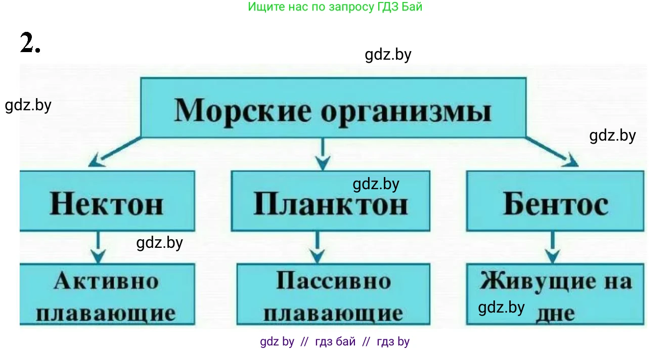 Биология, 10 класс рабочая тетрадь, автор: Хруцкая Тамара Викторовна, издательство Аверсэв, Минск, 2020, оранжевого цвета, страница 23, номер 2, Решение
