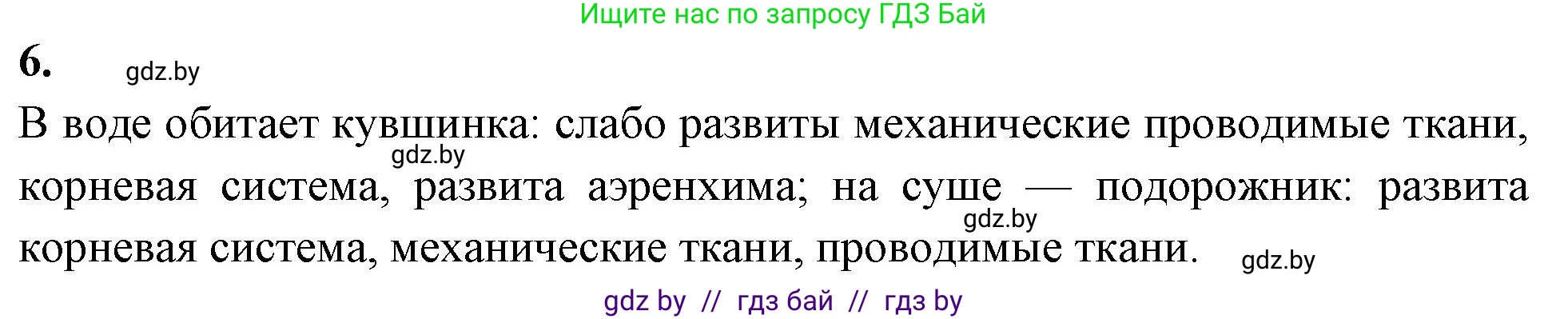Биология, 10 класс рабочая тетрадь, автор: Хруцкая Тамара Викторовна, издательство Аверсэв, Минск, 2020, оранжевого цвета, страница 28, номер 6, Решение
