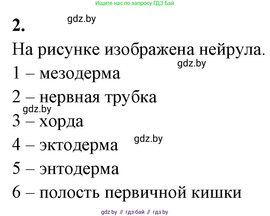 Биология, 10 класс рабочая тетрадь, автор: Хруцкая Тамара Викторовна, издательство Аверсэв, Минск, 2020, оранжевого цвета, страница 62, номер 2, Решение