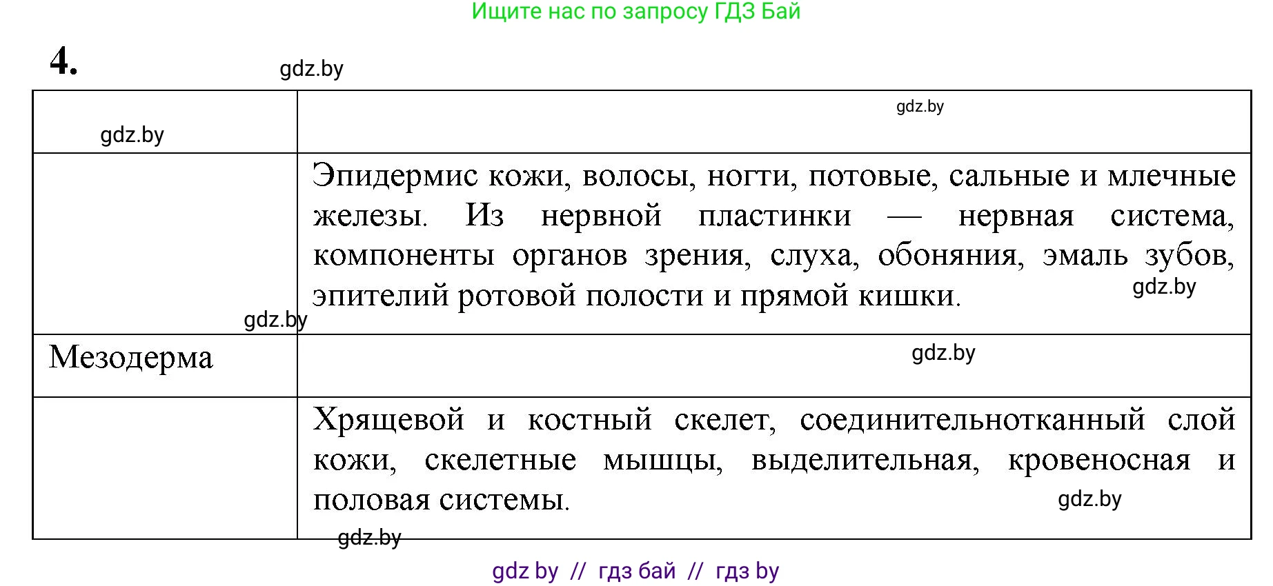 Биология, 10 класс рабочая тетрадь, автор: Хруцкая Тамара Викторовна, издательство Аверсэв, Минск, 2020, оранжевого цвета, страница 63, номер 4, Решение