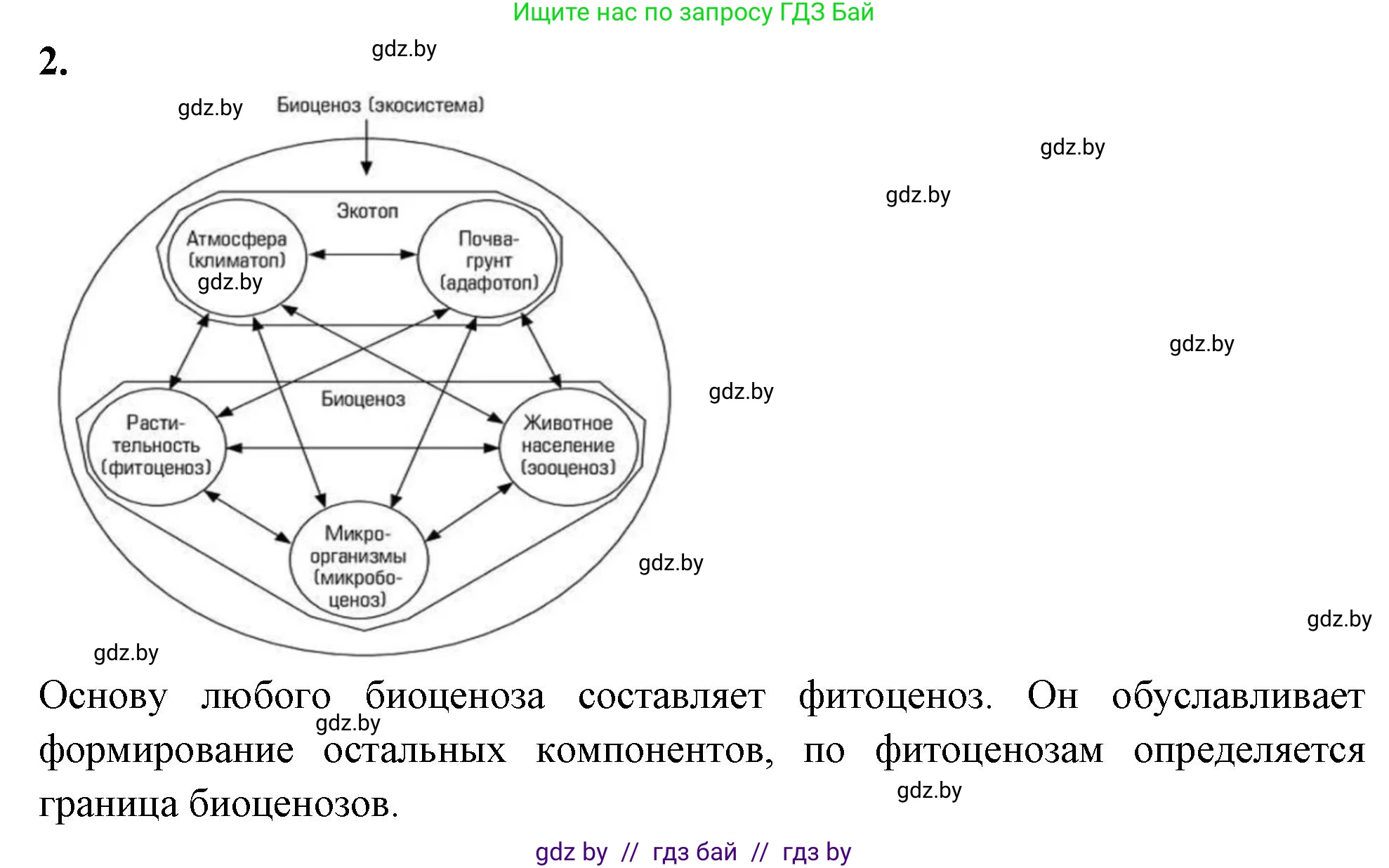 Биология, 10 класс рабочая тетрадь, автор: Хруцкая Тамара Викторовна, издательство Аверсэв, Минск, 2020, оранжевого цвета, страница 78, номер 2, Решение