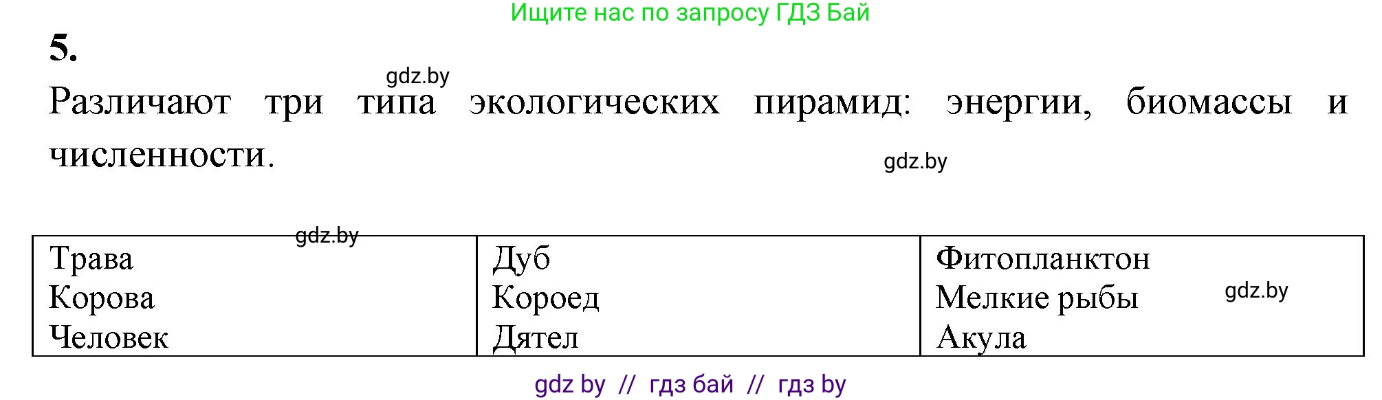 Биология, 10 класс рабочая тетрадь, автор: Хруцкая Тамара Викторовна, издательство Аверсэв, Минск, 2020, оранжевого цвета, страница 96, номер 5, Решение