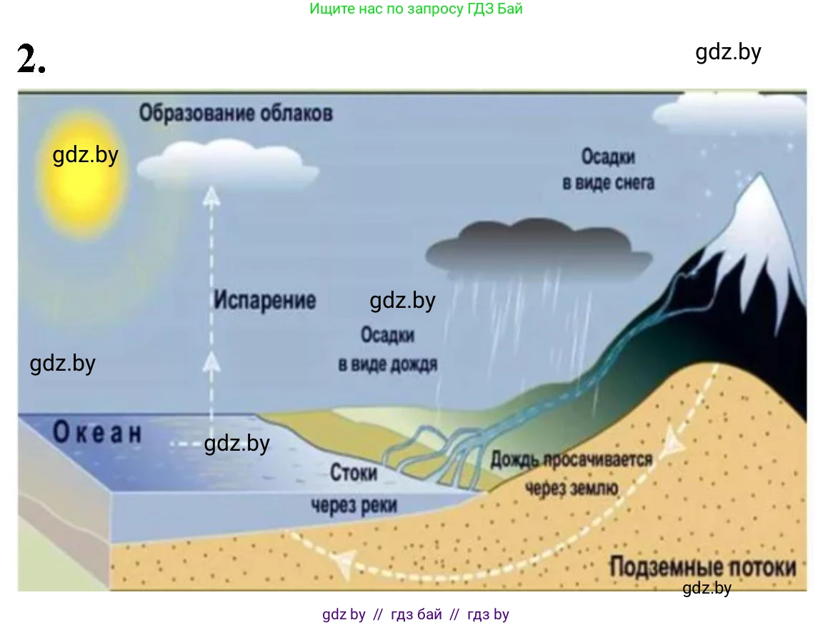 Биология, 10 класс рабочая тетрадь, автор: Хруцкая Тамара Викторовна, издательство Аверсэв, Минск, 2020, оранжевого цвета, страница 120, номер 2, Решение
