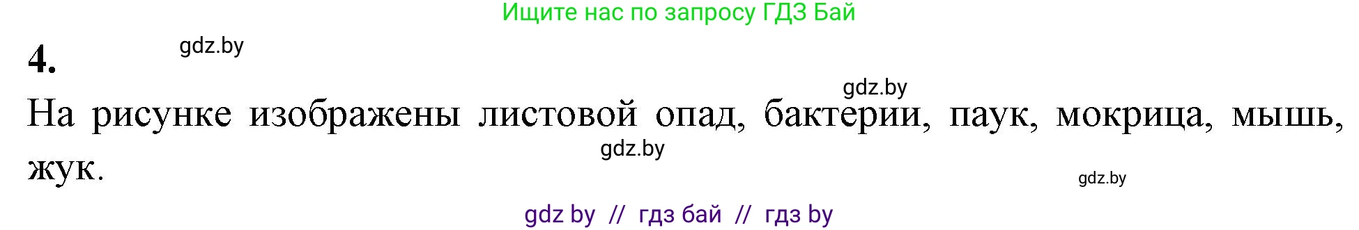 Биология, 10 класс рабочая тетрадь, автор: Хруцкая Тамара Викторовна, издательство Аверсэв, Минск, 2020, оранжевого цвета, страница 88, номер 4, Решение