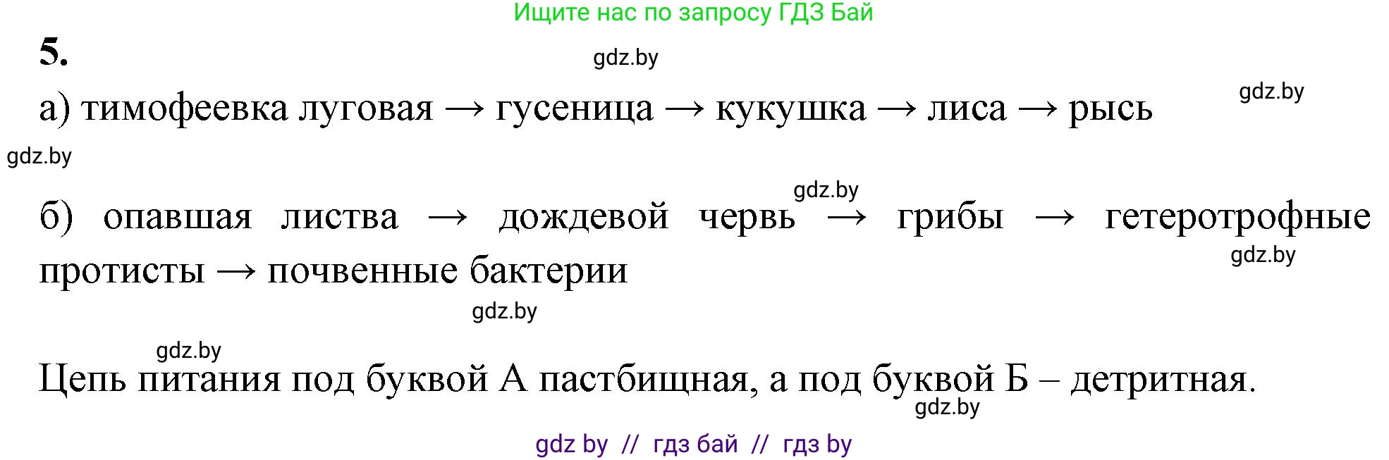 Биология, 10 класс рабочая тетрадь, автор: Хруцкая Тамара Викторовна, издательство Аверсэв, Минск, 2020, оранжевого цвета, страница 88, номер 5, Решение