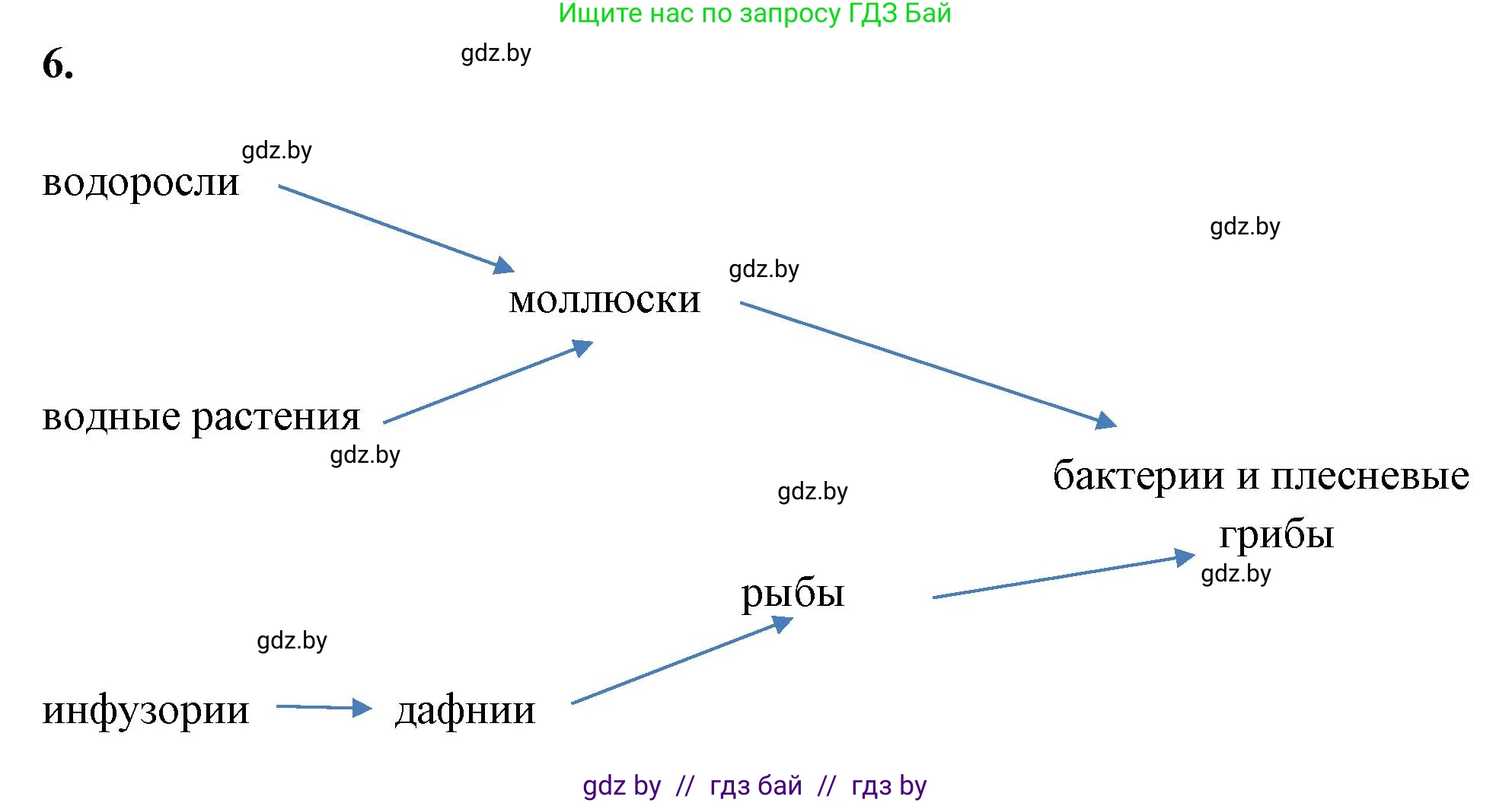 Биология, 10 класс рабочая тетрадь, автор: Хруцкая Тамара Викторовна, издательство Аверсэв, Минск, 2020, оранжевого цвета, страница 89, номер 6, Решение