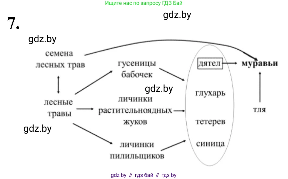 Биология, 10 класс рабочая тетрадь, автор: Хруцкая Тамара Викторовна, издательство Аверсэв, Минск, 2020, оранжевого цвета, страница 89, номер 7, Решение