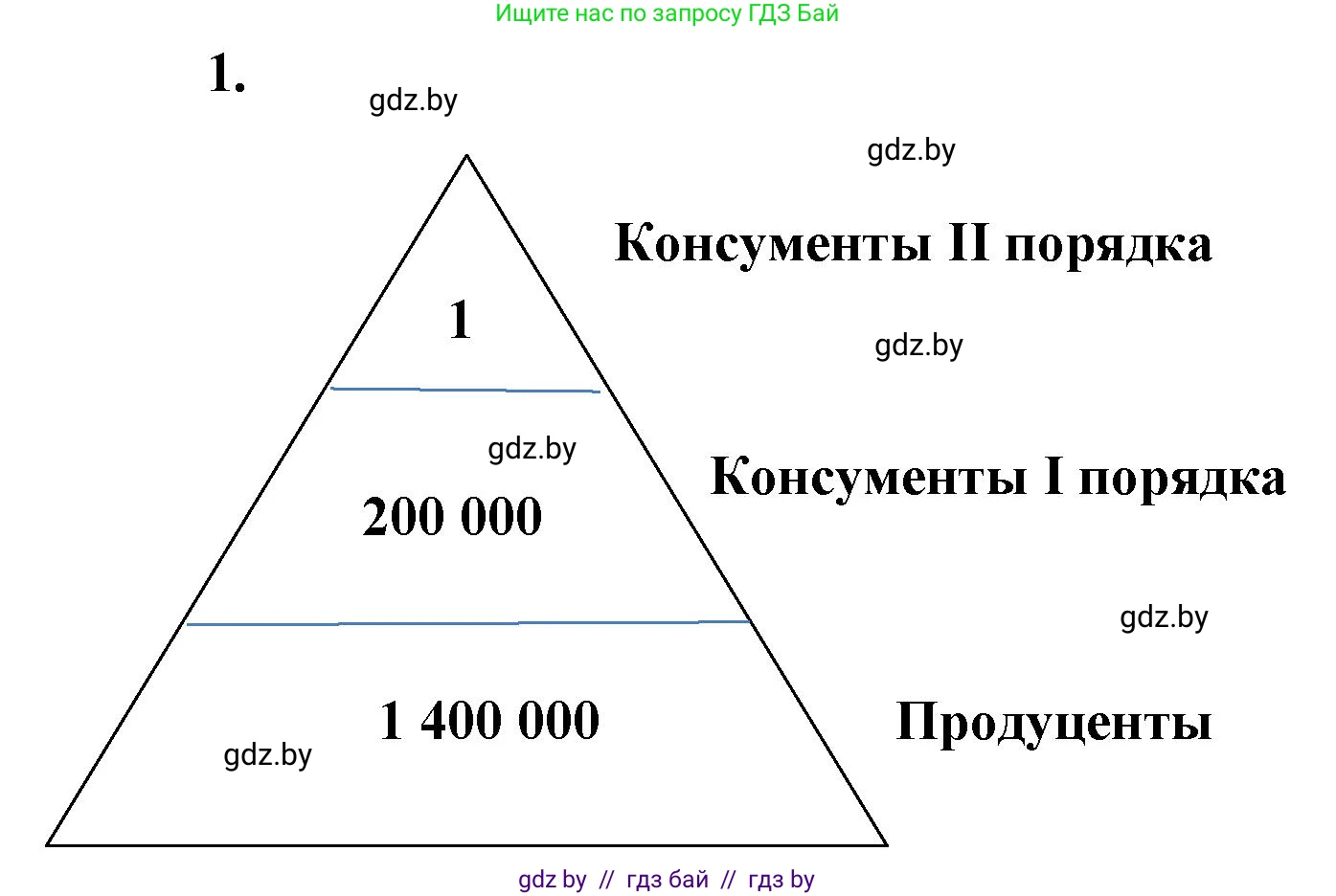 Биология, 10 класс рабочая тетрадь, автор: Хруцкая Тамара Викторовна, издательство Аверсэв, Минск, 2020, оранжевого цвета, страница 97, номер 1, Решение