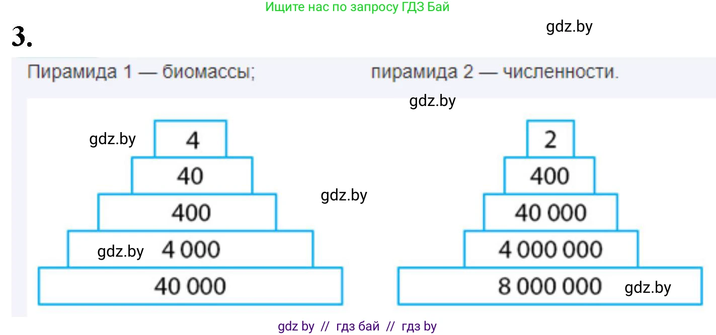 Биология, 10 класс рабочая тетрадь, автор: Хруцкая Тамара Викторовна, издательство Аверсэв, Минск, 2020, оранжевого цвета, страница 98, номер 3, Решение