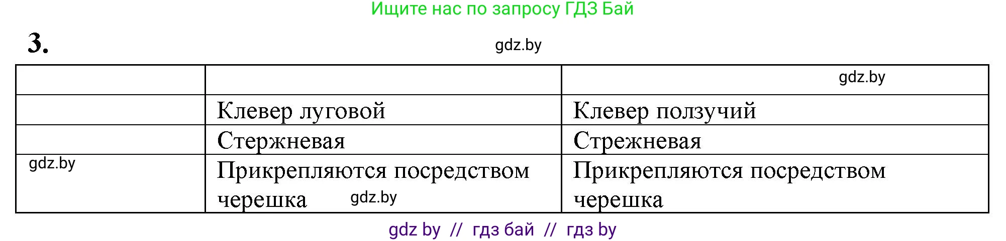 Биология, 10 класс Тетрадь для лабораторных и практических работ, авторы: Маглыш Сабина Степановна, Кравченко Вячеслав Анатольевич, издательство Аверсэв, Минск, 2021, зелёного цвета, страница 10, номер 3, Решение