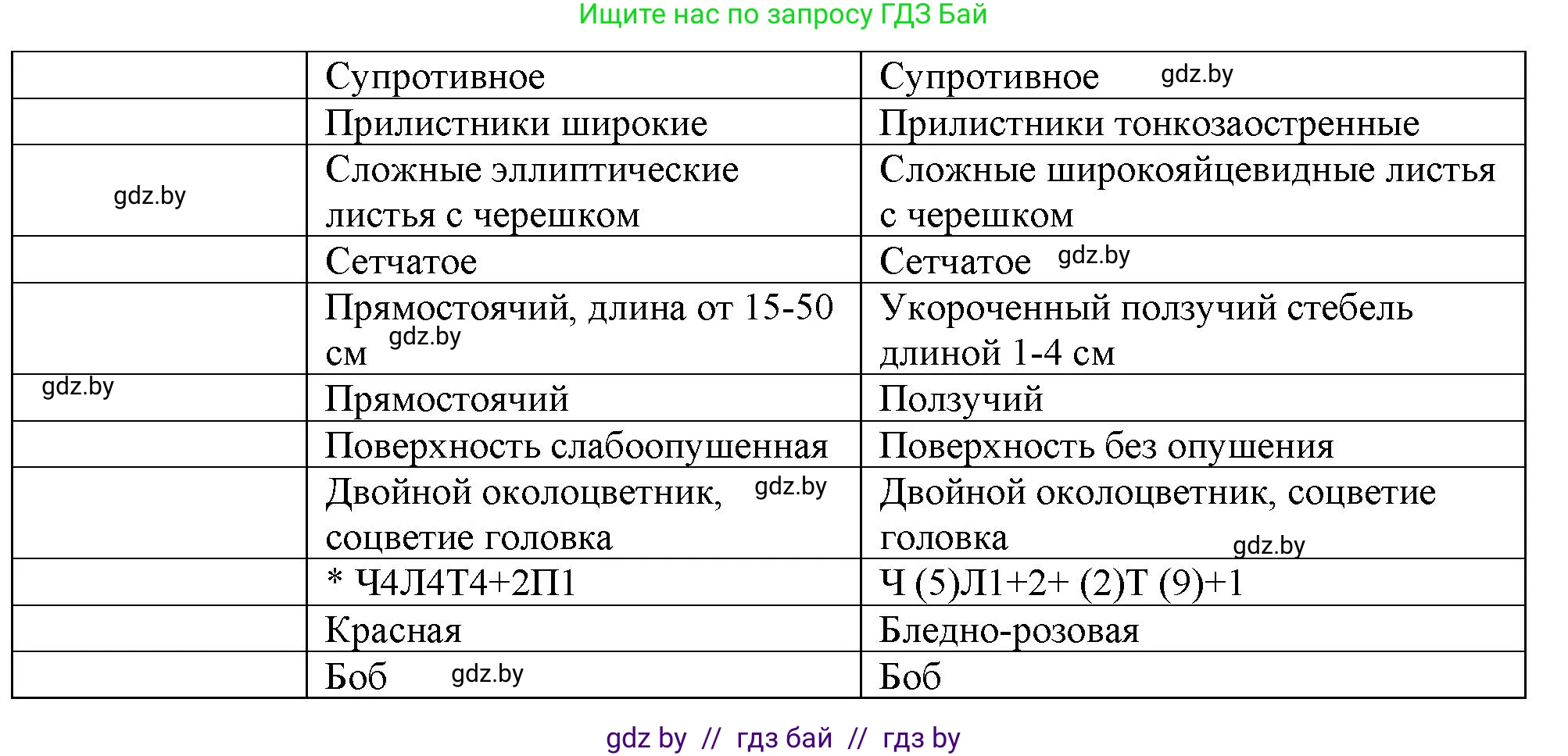 Биология, 10 класс Тетрадь для лабораторных и практических работ, авторы: Маглыш Сабина Степановна, Кравченко Вячеслав Анатольевич, издательство Аверсэв, Минск, 2021, зелёного цвета, страница 10, номер 3, Решение (продолжение 2)