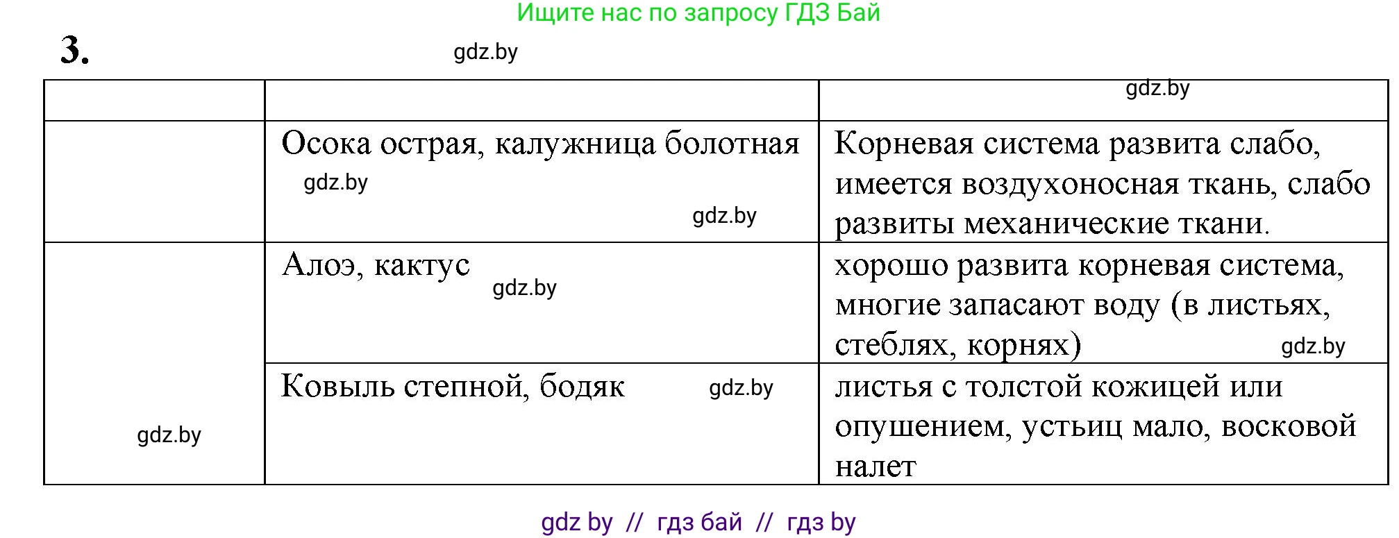 Биология, 10 класс Тетрадь для лабораторных и практических работ, авторы: Маглыш Сабина Степановна, Кравченко Вячеслав Анатольевич, издательство Аверсэв, Минск, 2021, зелёного цвета, страница 5, номер 3, Решение