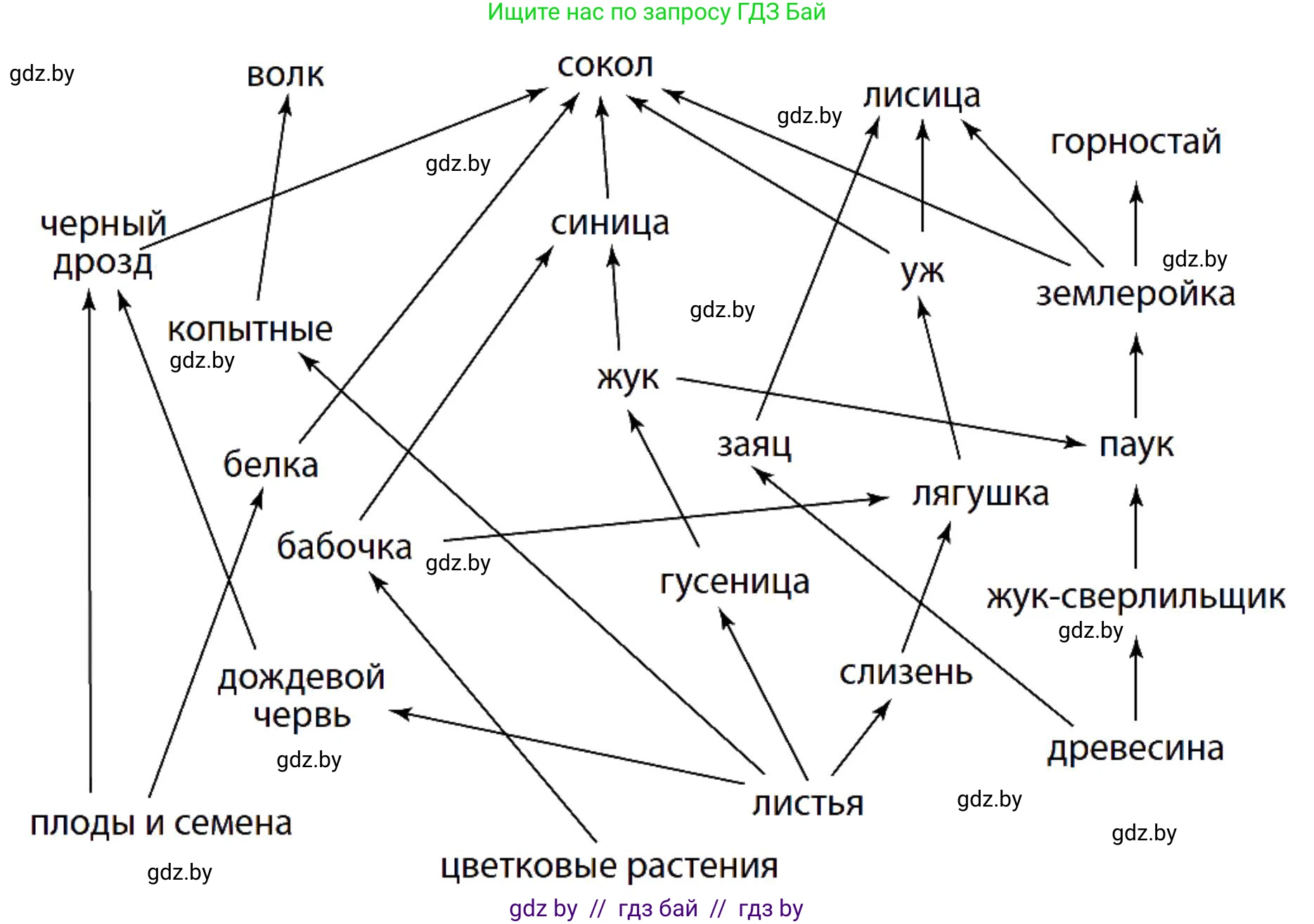Биология, 10 класс Тетрадь для лабораторных и практических работ, авторы: Маглыш Сабина Степановна, Кравченко Вячеслав Анатольевич, издательство Аверсэв, Минск, 2021, зелёного цвета, страница 15, номер 1, Решение (продолжение 2)