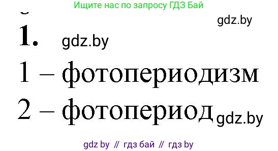 Биология, 10 класс рабочая тетрадь, авторы: Маглыш Сабина Степановна, Кравченко Вячеслав Анатольевич, издательство Аверсэв, Минск, 2021, страница 12, номер 1, Решение