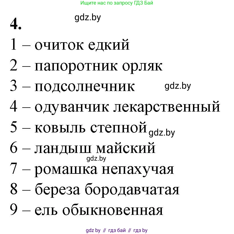 Биология, 10 класс рабочая тетрадь, авторы: Маглыш Сабина Степановна, Кравченко Вячеслав Анатольевич, издательство Аверсэв, Минск, 2021, страница 13, номер 4, Решение