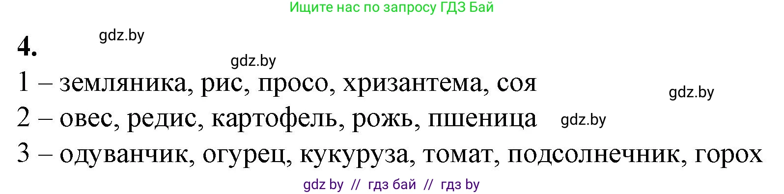 Биология, 10 класс рабочая тетрадь, авторы: Маглыш Сабина Степановна, Кравченко Вячеслав Анатольевич, издательство Аверсэв, Минск, 2021, страница 20, номер 4, Решение