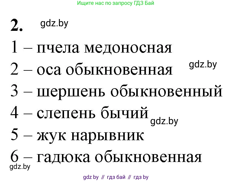 Биология, 10 класс рабочая тетрадь, авторы: Маглыш Сабина Степановна, Кравченко Вячеслав Анатольевич, издательство Аверсэв, Минск, 2021, страница 41, номер 2, Решение