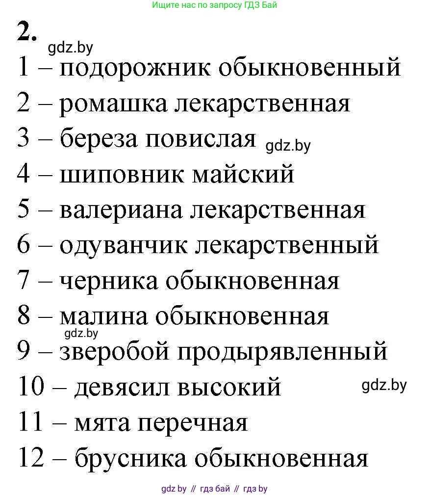 Биология, 10 класс рабочая тетрадь, авторы: Маглыш Сабина Степановна, Кравченко Вячеслав Анатольевич, издательство Аверсэв, Минск, 2021, страница 43, номер 2, Решение