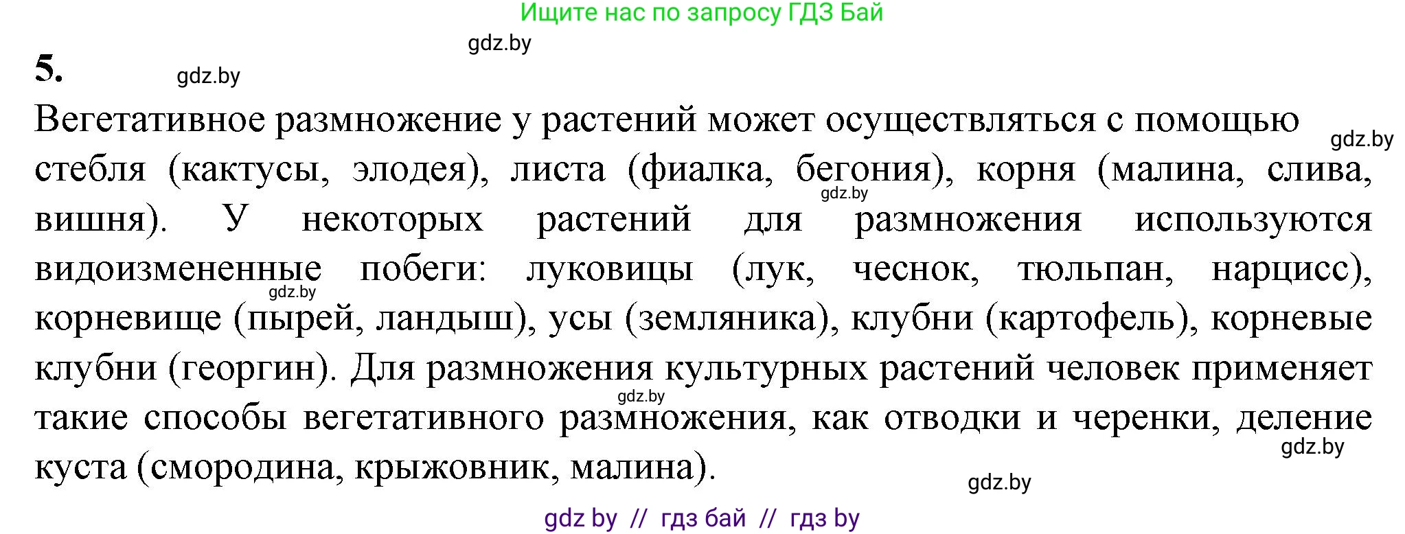 Биология, 10 класс рабочая тетрадь, авторы: Маглыш Сабина Степановна, Кравченко Вячеслав Анатольевич, издательство Аверсэв, Минск, 2021, страница 61, номер 5, Решение