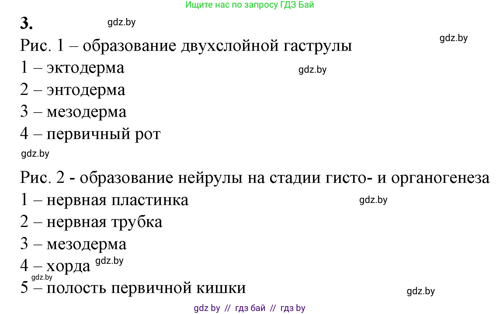 Биология, 10 класс рабочая тетрадь, авторы: Маглыш Сабина Степановна, Кравченко Вячеслав Анатольевич, издательство Аверсэв, Минск, 2021, страница 67, номер 3, Решение