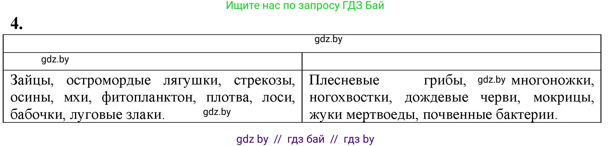 Биология, 10 класс рабочая тетрадь, авторы: Маглыш Сабина Степановна, Кравченко Вячеслав Анатольевич, издательство Аверсэв, Минск, 2021, страница 91, номер 4, Решение