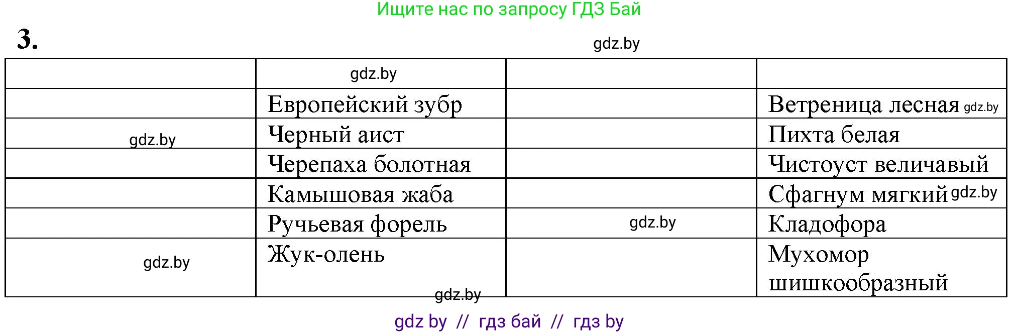 Биология, 10 класс рабочая тетрадь, авторы: Маглыш Сабина Степановна, Кравченко Вячеслав Анатольевич, издательство Аверсэв, Минск, 2021, страница 127, номер 3, Решение