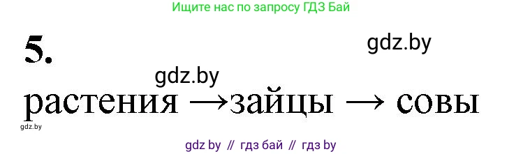 Биология, 10 класс рабочая тетрадь, авторы: Маглыш Сабина Степановна, Кравченко Вячеслав Анатольевич, издательство Аверсэв, Минск, 2021, страница 105, номер 5, Решение