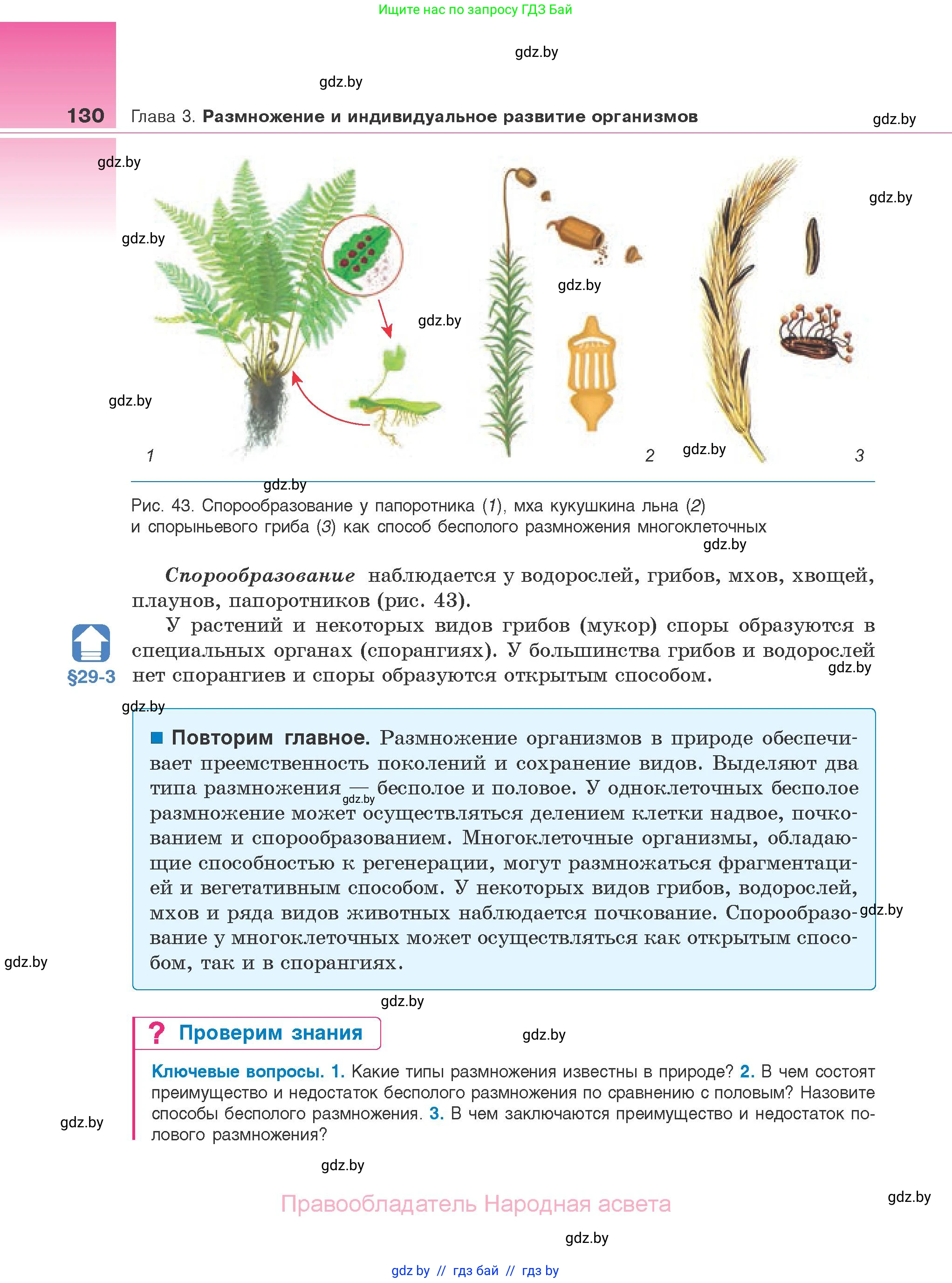 Биология, 10 класс Учебник, авторы: Маглыш Сабина Степановна, Кравченко Вячеслав Анатольевич, Довгун Татьяна Яновна, издательство Народная асвета, Минск, 2020, зелёного цвета, страница 130