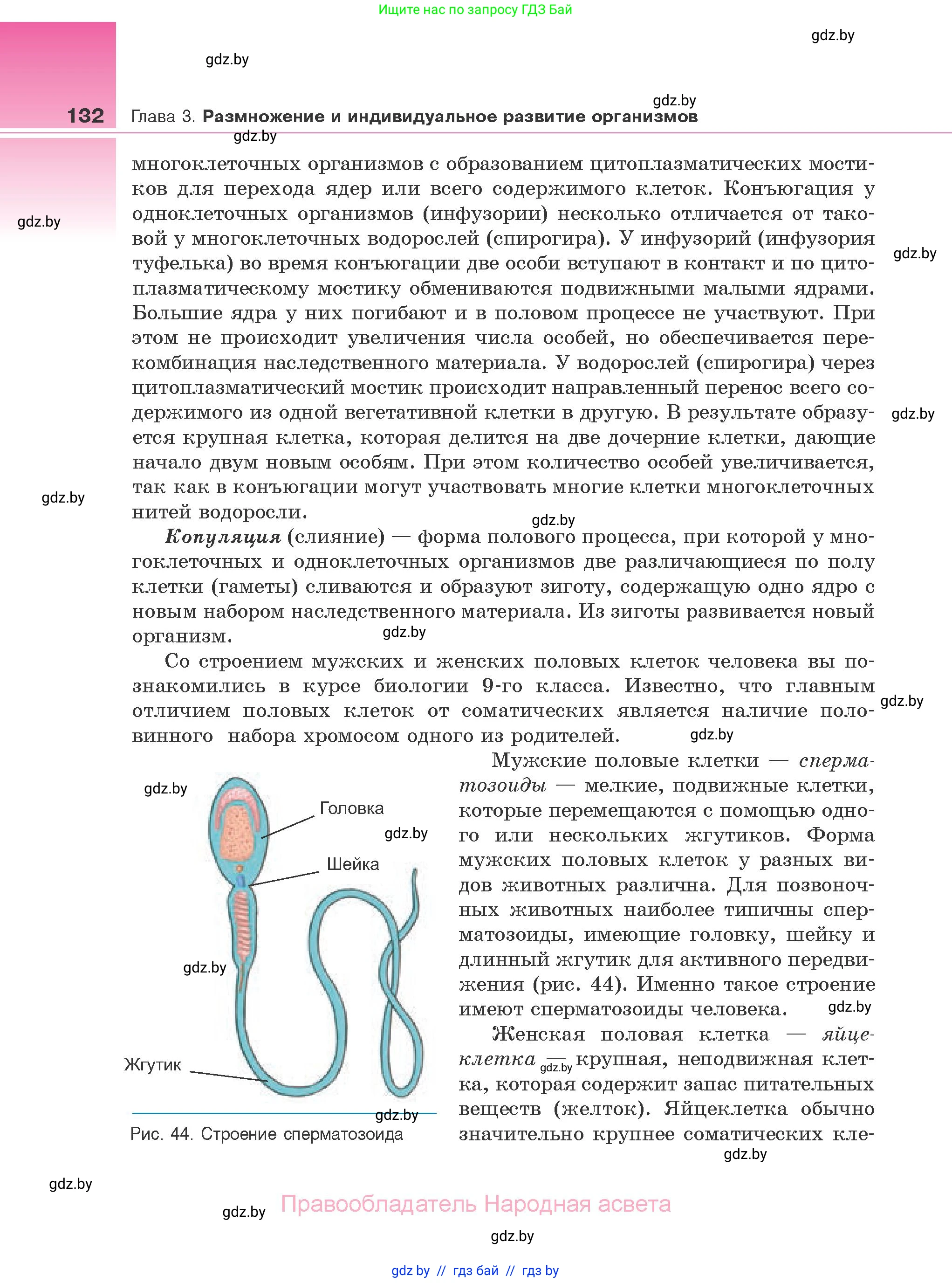 Биология, 10 класс Учебник, авторы: Маглыш Сабина Степановна, Кравченко Вячеслав Анатольевич, Довгун Татьяна Яновна, издательство Народная асвета, Минск, 2020, зелёного цвета, страница 132