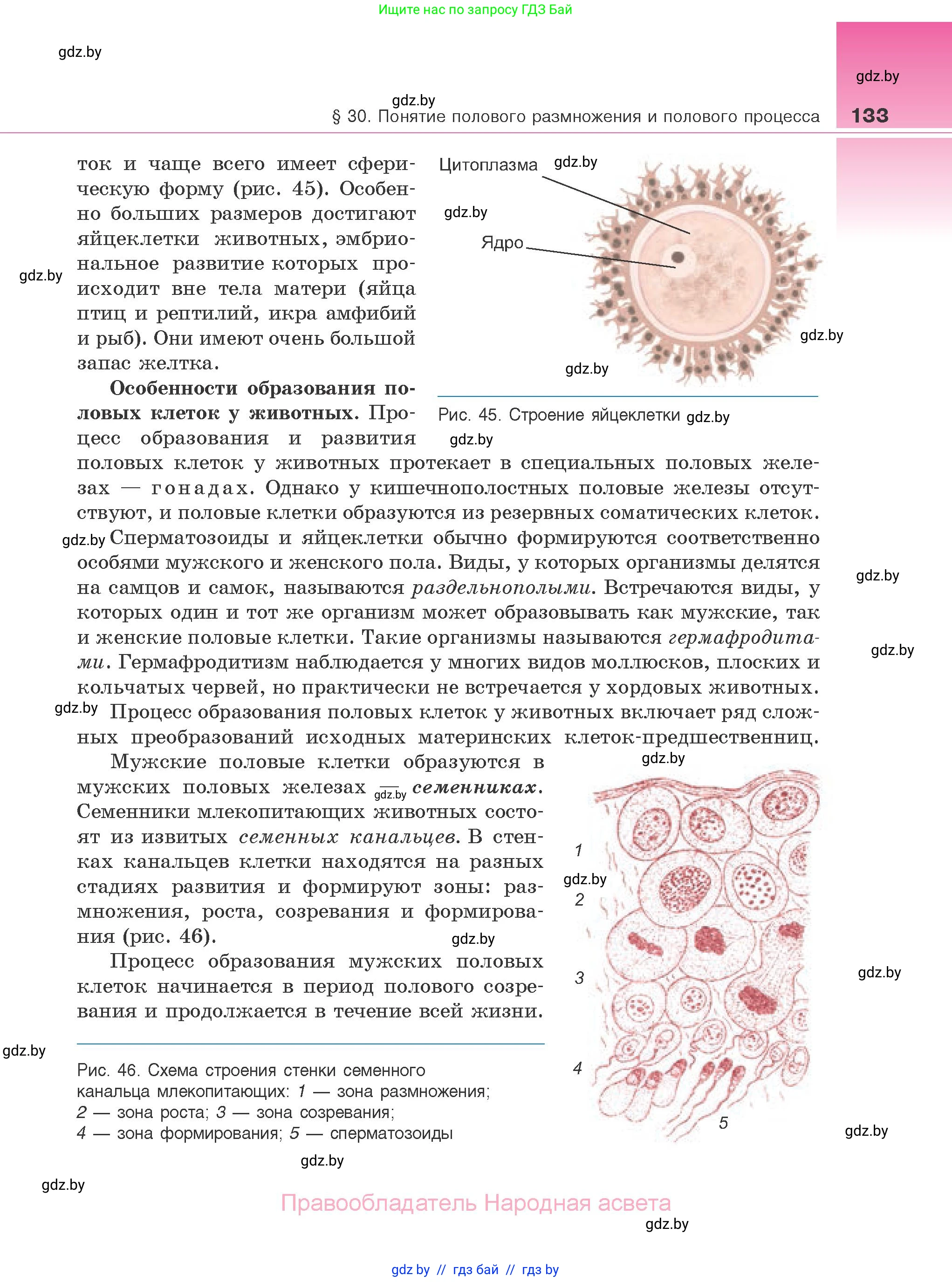 Биология, 10 класс Учебник, авторы: Маглыш Сабина Степановна, Кравченко Вячеслав Анатольевич, Довгун Татьяна Яновна, издательство Народная асвета, Минск, 2020, зелёного цвета, страница 133