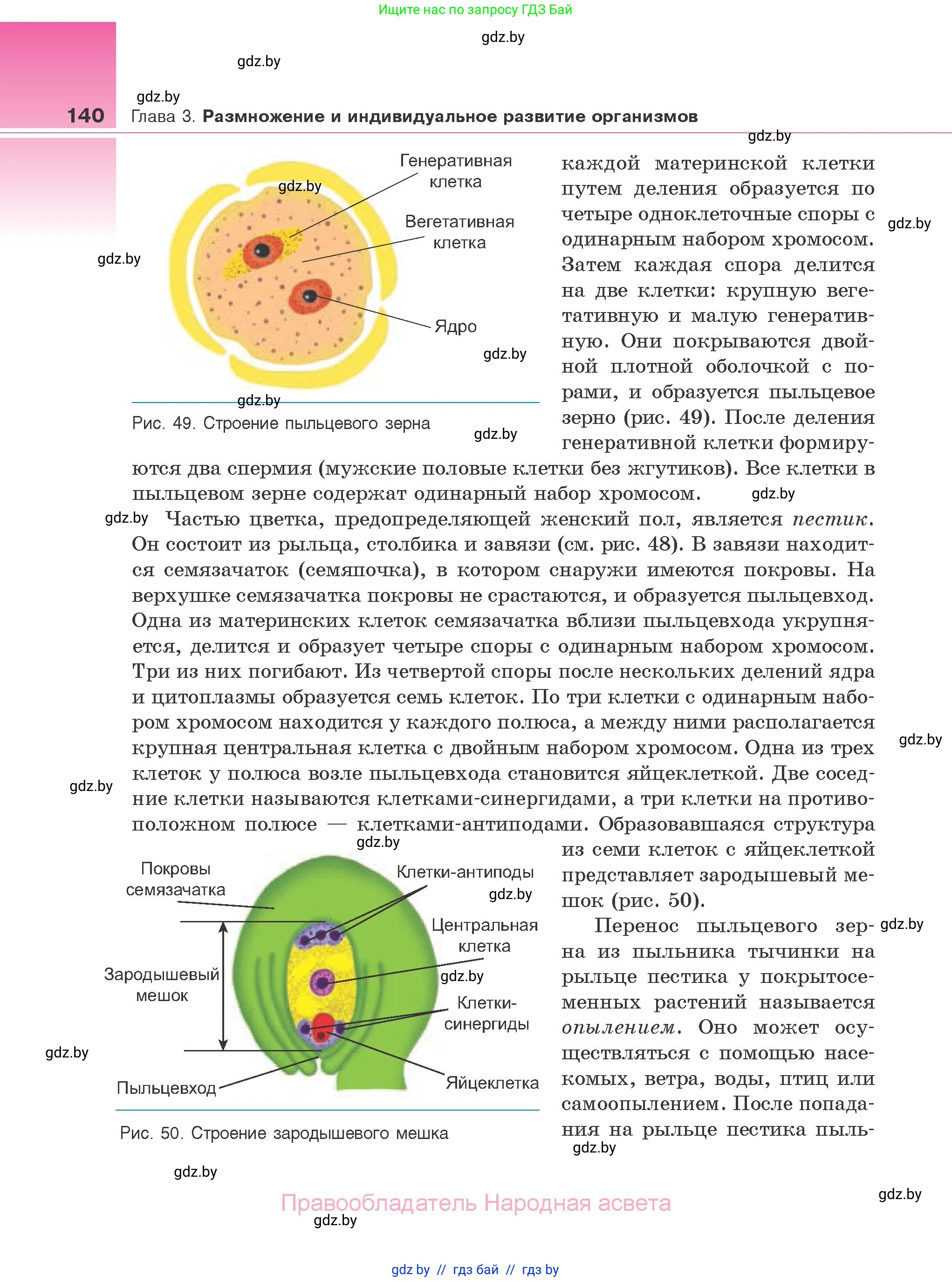 Биология, 10 класс Учебник, авторы: Маглыш Сабина Степановна, Кравченко Вячеслав Анатольевич, Довгун Татьяна Яновна, издательство Народная асвета, Минск, 2020, зелёного цвета, страница 140
