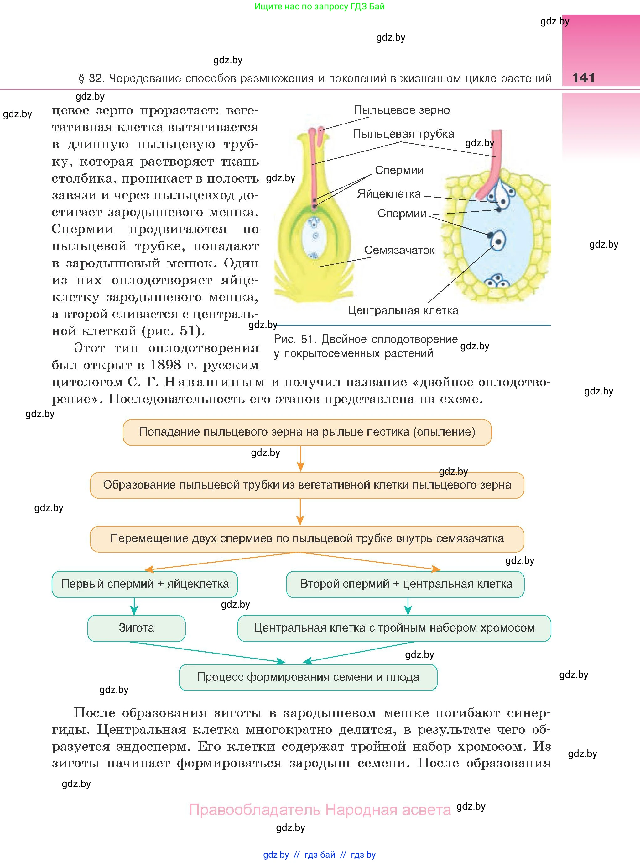 Биология, 10 класс Учебник, авторы: Маглыш Сабина Степановна, Кравченко Вячеслав Анатольевич, Довгун Татьяна Яновна, издательство Народная асвета, Минск, 2020, зелёного цвета, страница 141
