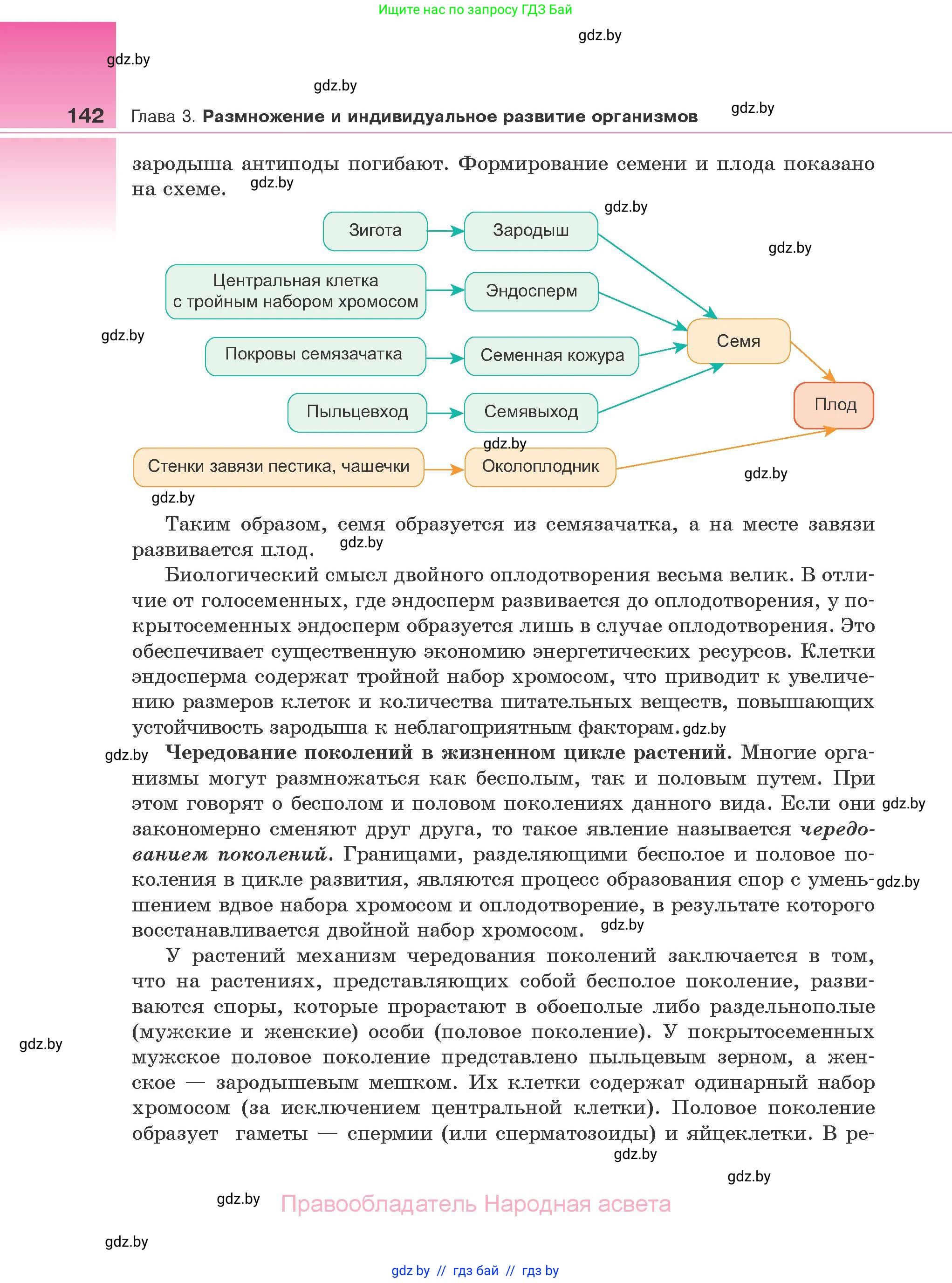 Биология, 10 класс Учебник, авторы: Маглыш Сабина Степановна, Кравченко Вячеслав Анатольевич, Довгун Татьяна Яновна, издательство Народная асвета, Минск, 2020, зелёного цвета, страница 142