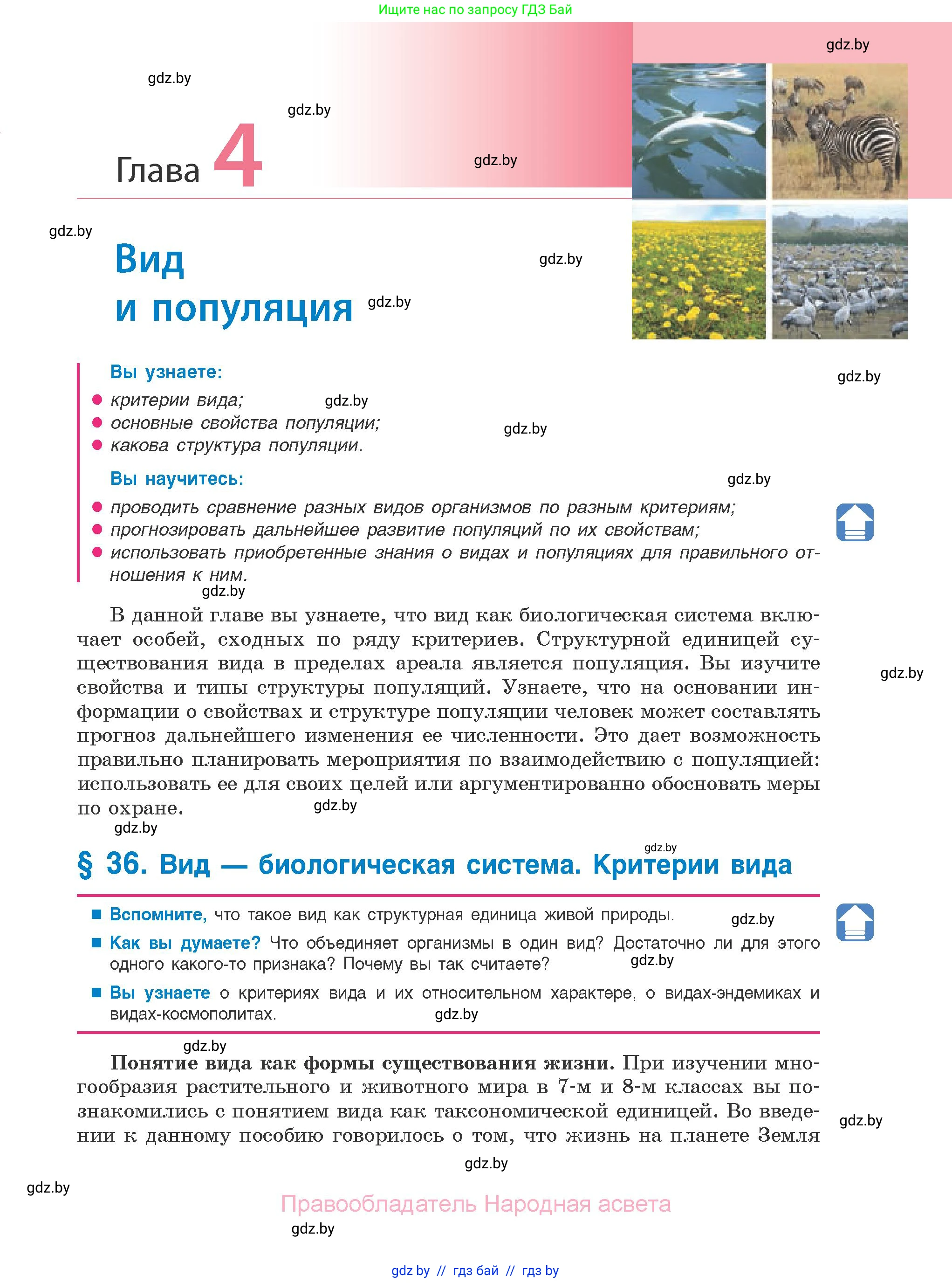 Биология, 10 класс Учебник, авторы: Маглыш Сабина Степановна, Кравченко Вячеслав Анатольевич, Довгун Татьяна Яновна, издательство Народная асвета, Минск, 2020, зелёного цвета, страница 161